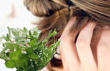 Herbs for treating psoriasis on the head