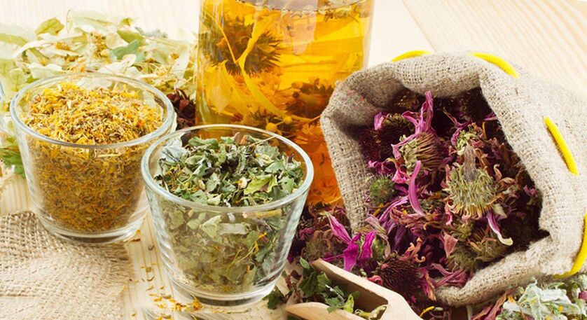 Herbs of psoriasis